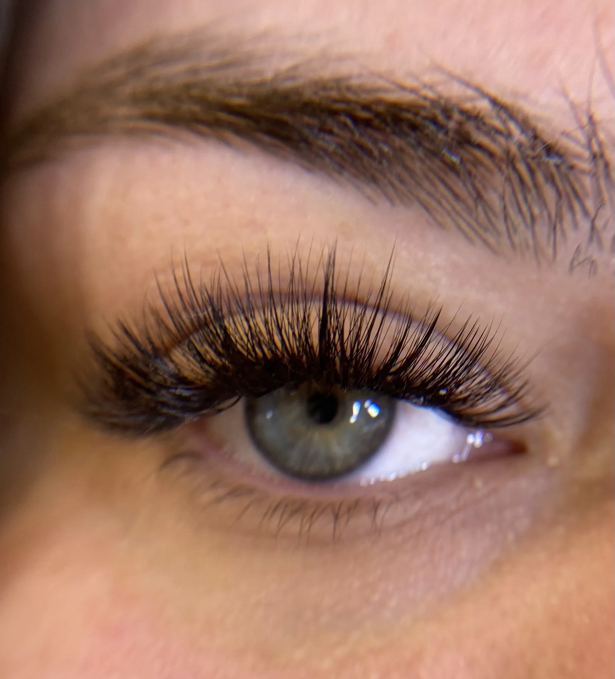 Macro of a dense volume lash fan catching warm light