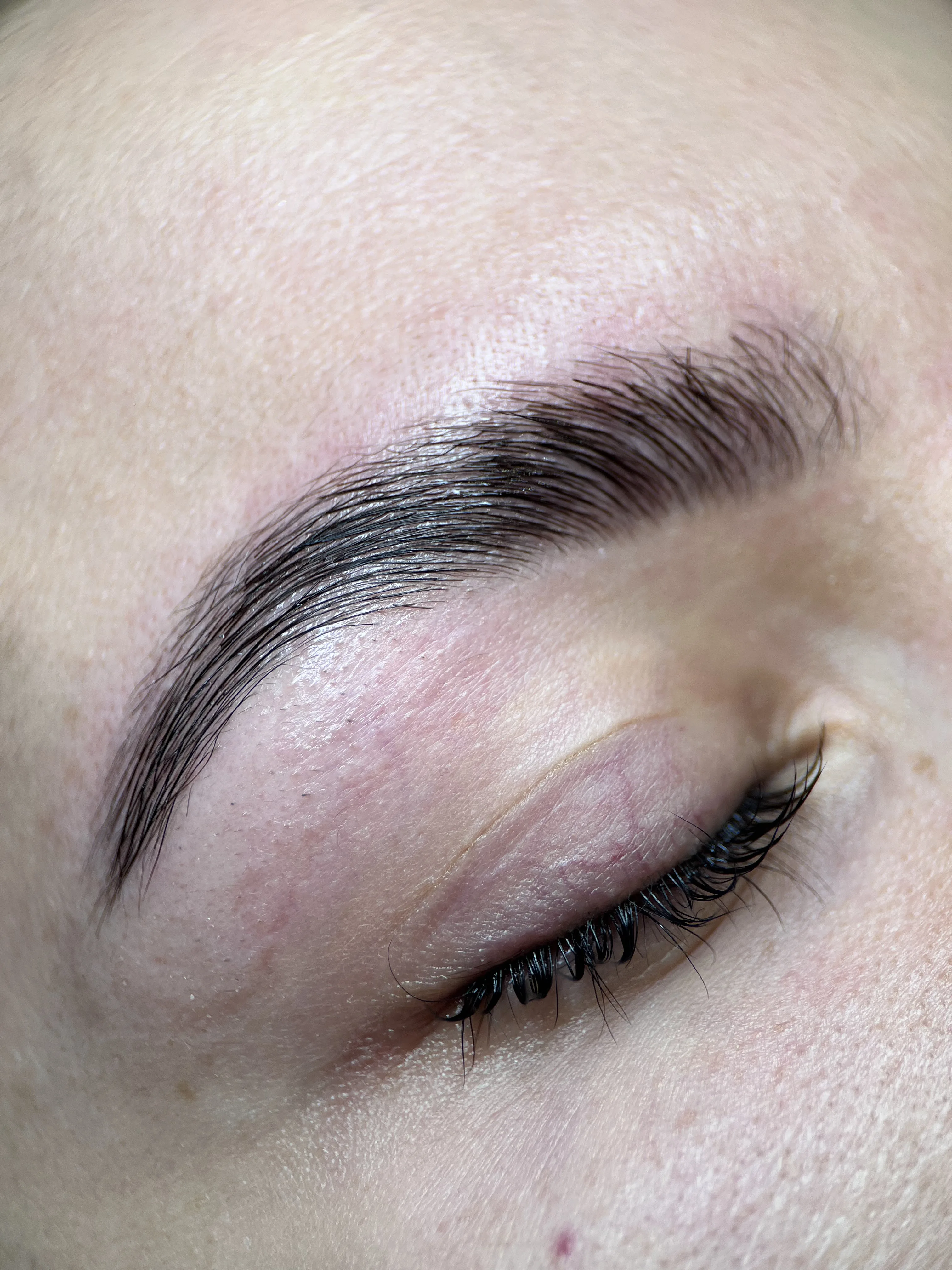 Macro of a freshly laminated brow, hairs combed upward and set